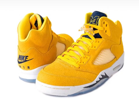 Jordan 5 Michigan PE