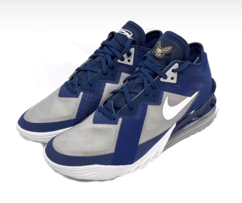 Nike Lebron 18 low Akron (Navy) PE
